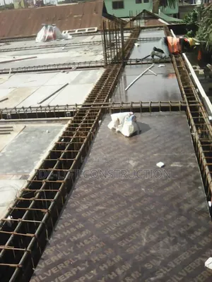 Are You Looking for a Professional Carpenter