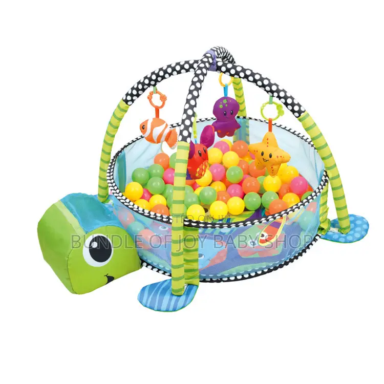 Activity Gym Ball Pit