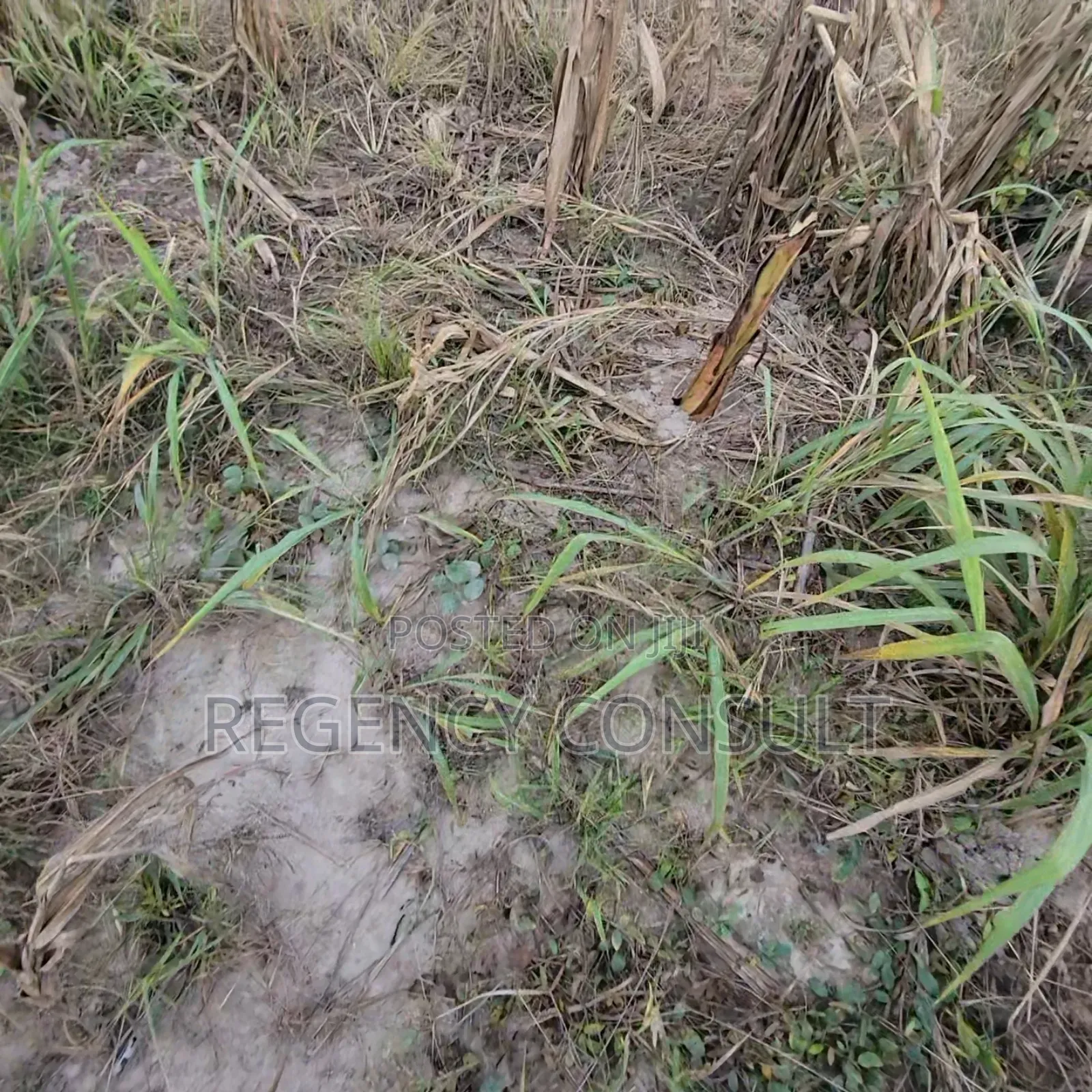 Lands for Sale at Yawhima and Sunyani Tanoso