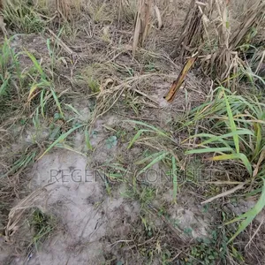 Lands for Sale at Yawhima and Sunyani Tanoso