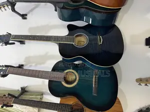 Givson- Semi Acoustic Guitar