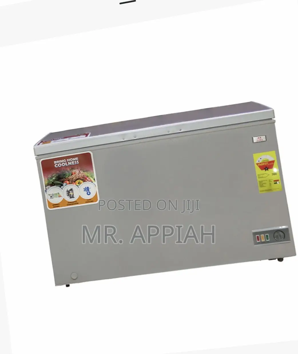 Newly Made Zara-300fl Electric Chest Freezer(238ltr).