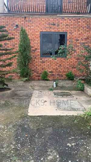 Bricks Wall Cladding