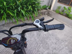 Electric Bicycle for Adults / Promotion Promotion