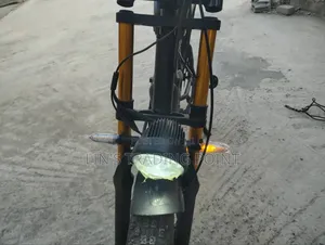 Electric Bicycle for Adults / Promotion Promotion