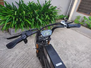 Electric Bicycle for Adults / Promotion Promotion