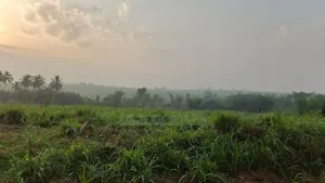 Plot of Land for Sale
