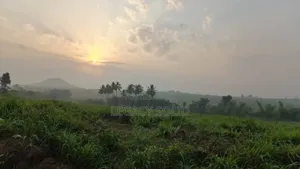 Plot of Land for Sale