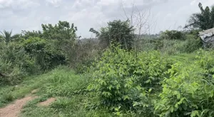 Plot of Land for Sale