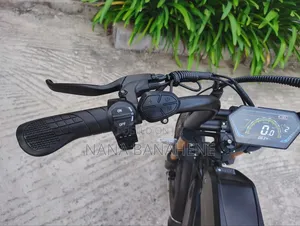 Dual Batteries Electric Bike 500watts 40ah Perfect for Delivery