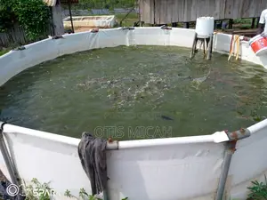 Round Fish Tank