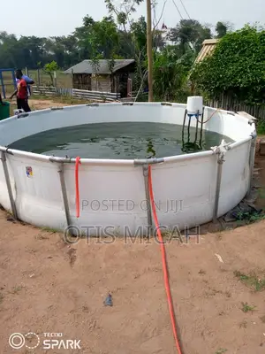 Round Fish Tank