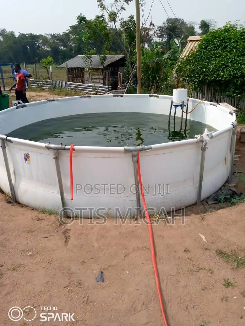 Round Fish Tank