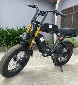 Dual Batteries Electric Bike 500watts 40ah Perfect for Delivery
