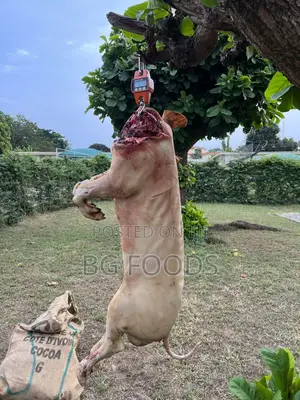 Sell Us All Your Pigs/Pork/Beef. We Can Clear Your Entire Farm!