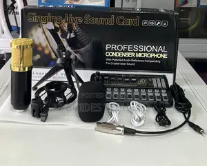 Professional Condenser Microphone 