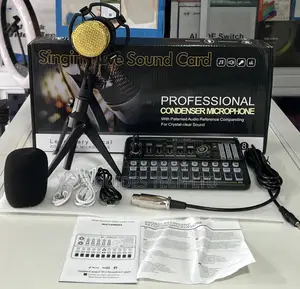 Professional Condenser Microphone 
