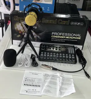 Professional Condenser Microphone 
