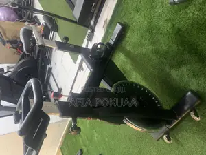 Schwinn Spin Bike 180kg