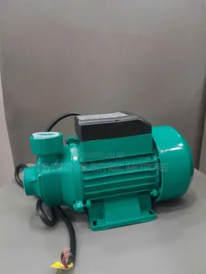 0.5hp Peripheral Water Pump