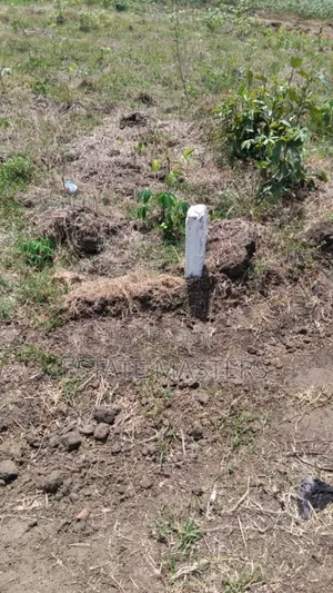 Titled Lands for Sale