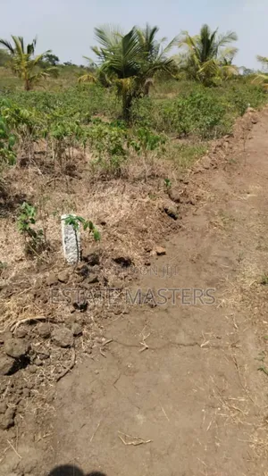 A Litigation Free and Genuine Land