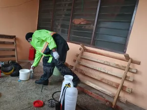Safer Fumigation Service With Cleantex