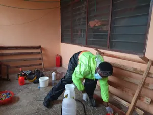 Safer Fumigation Service With Cleantex