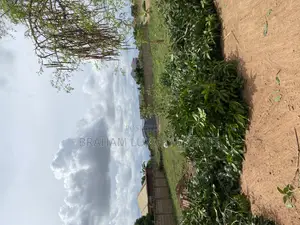 Title Registered 2 Plots of Land for Sale at Malejor.
