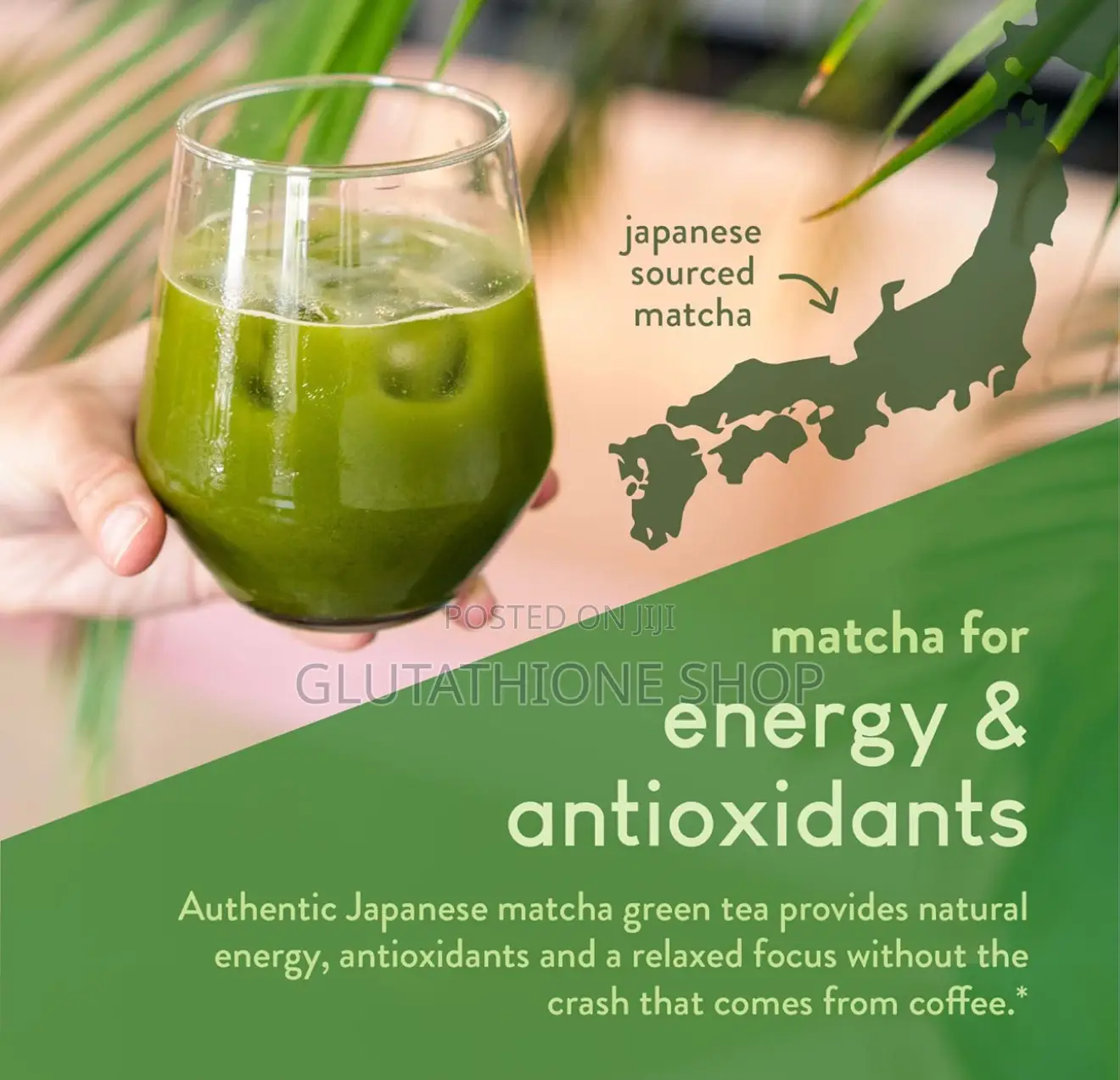 360 Nutrition Matcha Hydrolyzed Collagen Japanese Matcha