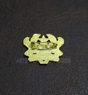 Lapel Pin and Brooches - Coat of Arms, Ghana Flag, Npp, NDC