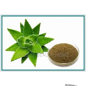 Aloe Vera Powder - 100g
