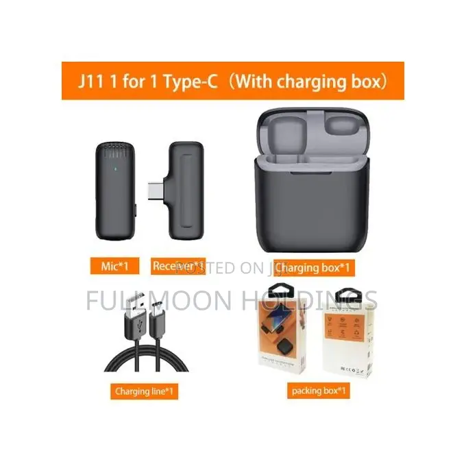 Professional Wireless Lavalier Type C Microphone