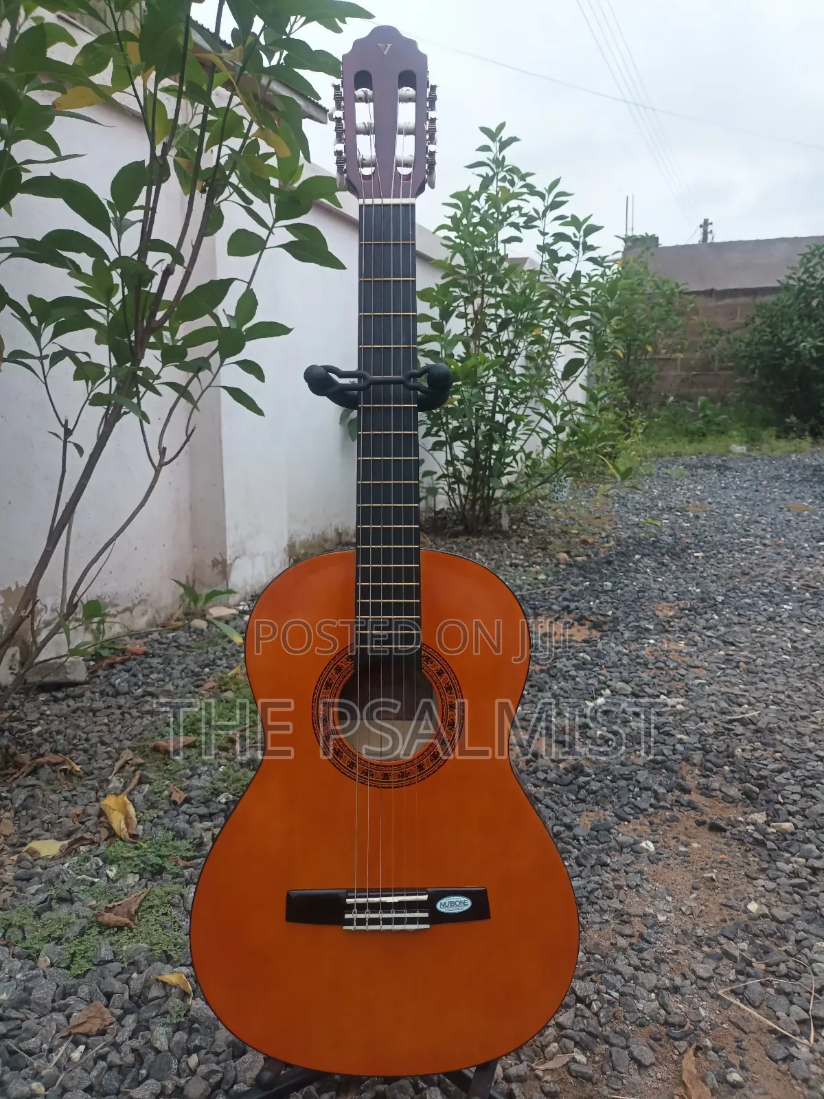 Desde 1972 Valencia Cg160 3/4 Classical Guitar