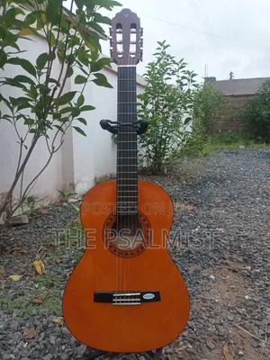 Desde 1972 Valencia Cg160 3/4 Classical Guitar