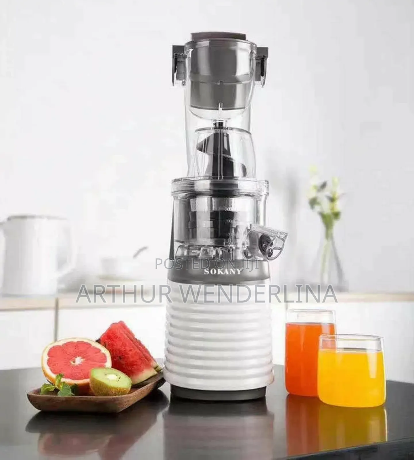 Sokany Slow Juicer