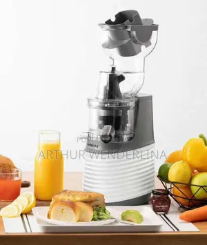 Sokany Slow Juicer
