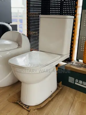 Slim Tank Water Closet _ Water Closet _ Toilet Bowl