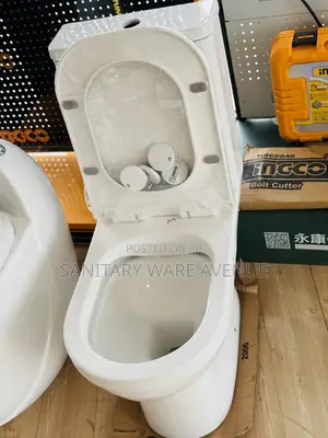 Slim Tank Water Closet _ Water Closet _ Toilet Bowl