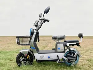 New Motorcycle 2024 Gray