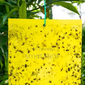 Fly Sticker
