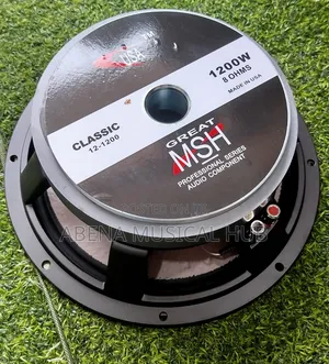 MSH- 12 Inches Double Magnet Line Arrays Speaker