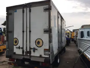 Freezer Truck 2010