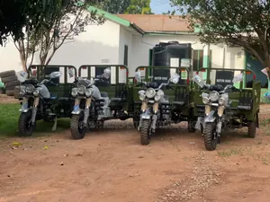 New Tricycle 2025 Green