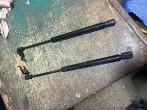 Camry 2013 Bonnet Shocks