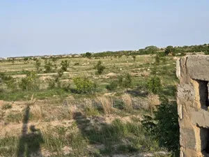 Prampram Beach Lane < Best Developed Land Area