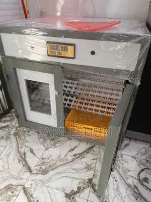 Incubator For All Eggs