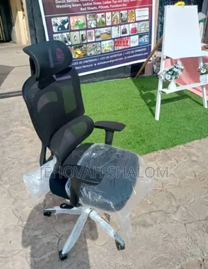 Orthopedic Swivel Chair