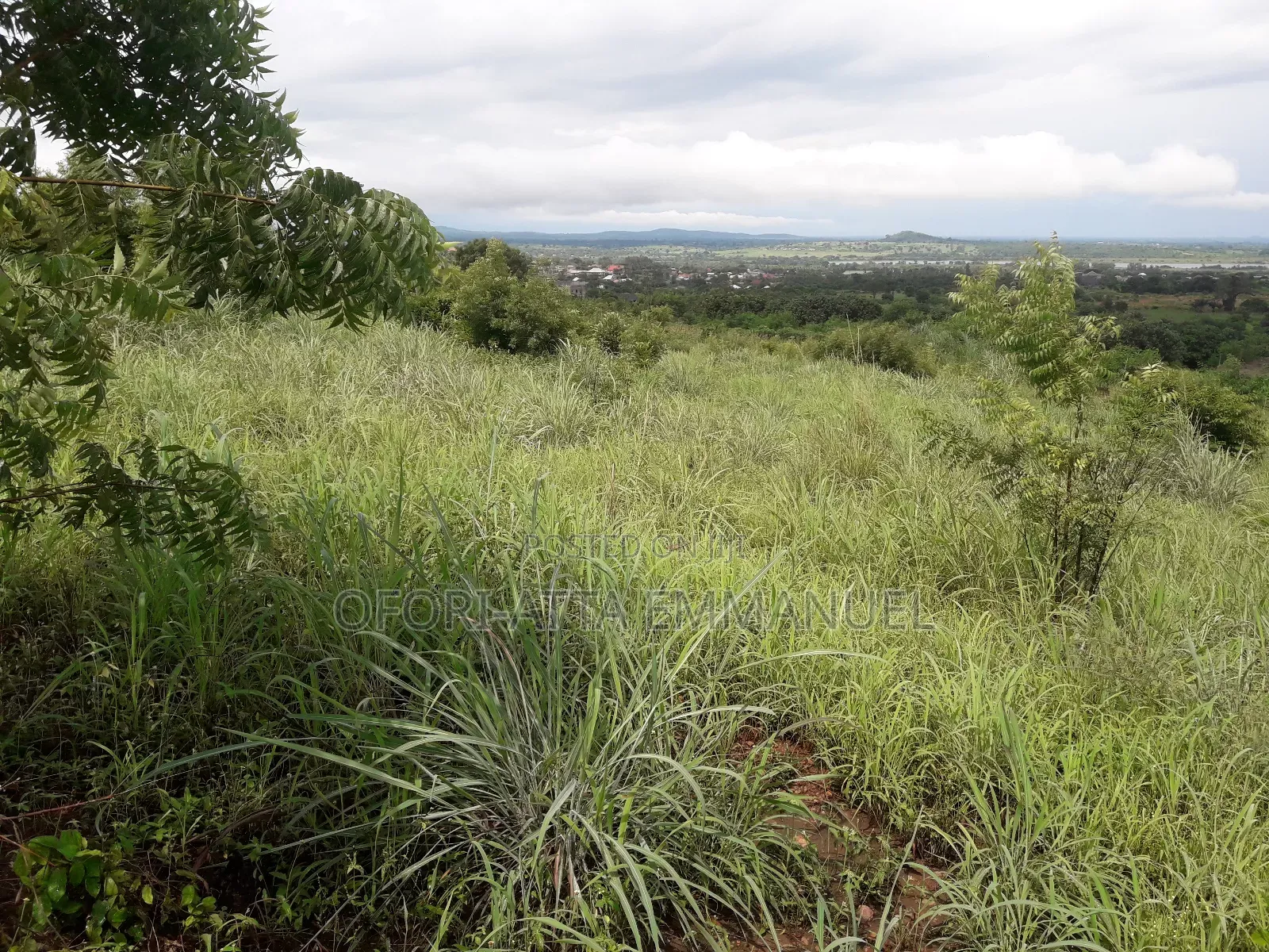 3 Plot for Sale at Akosobo