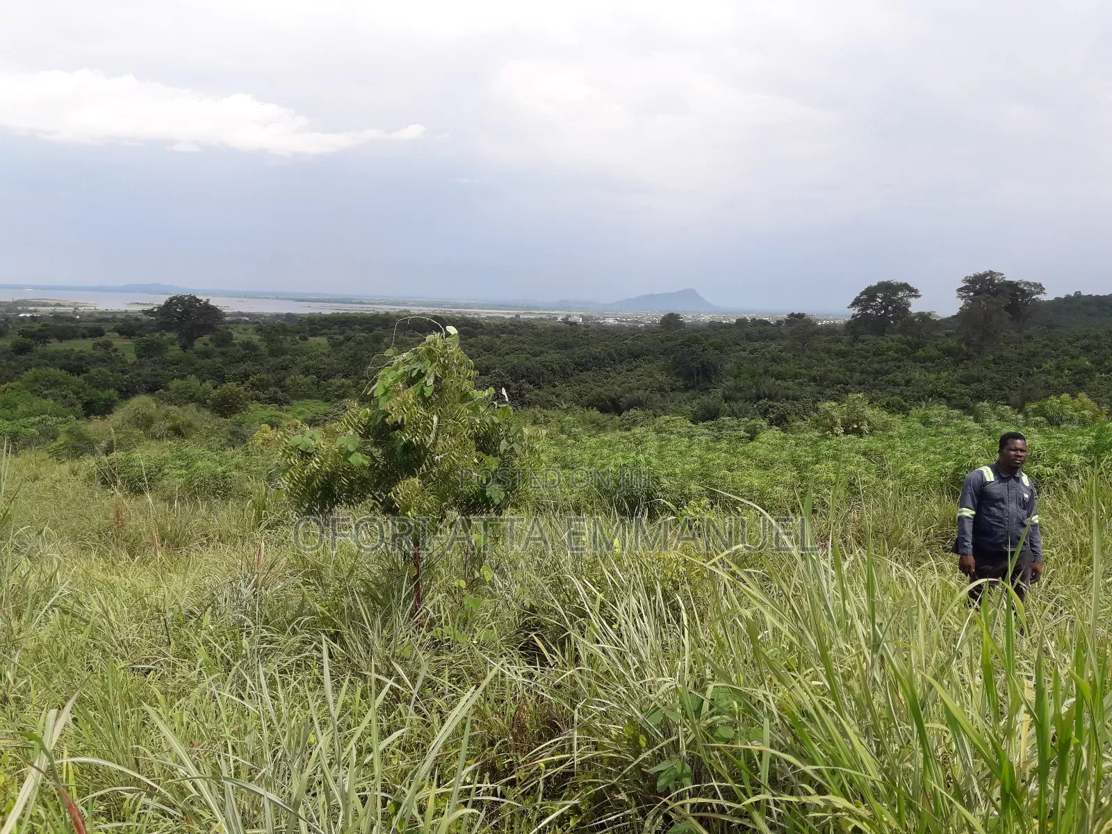 3 Plot for Sale at Akosobo